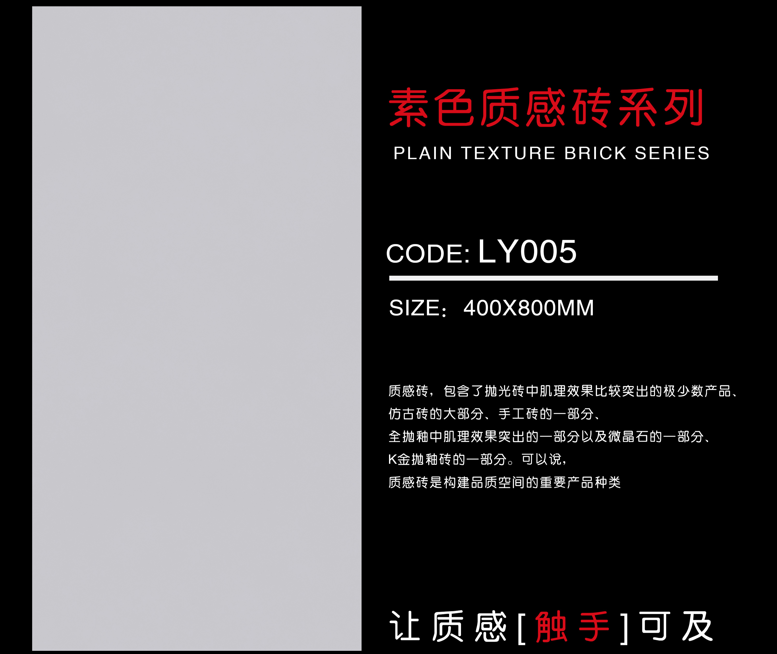 LY005